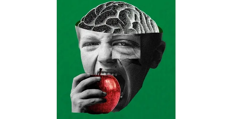 High-fibre diet may protect brain and reduce disease risk