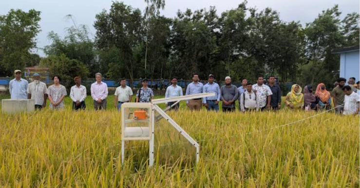 ADB, partners unveil plan to overhaul rice sector in Asia-Pacific ...