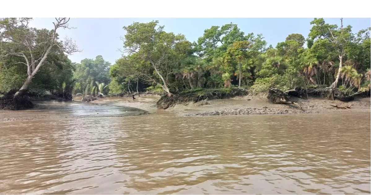 Sundarbans climate project to close early amid UK aid cuts