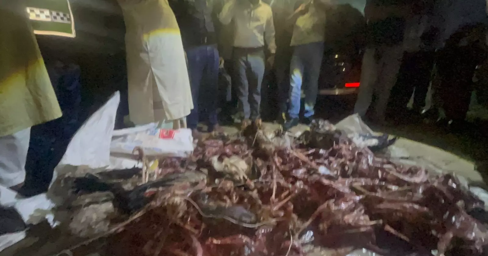 Retired army officer among 6 fined for hunting migratory birds in Gazaria