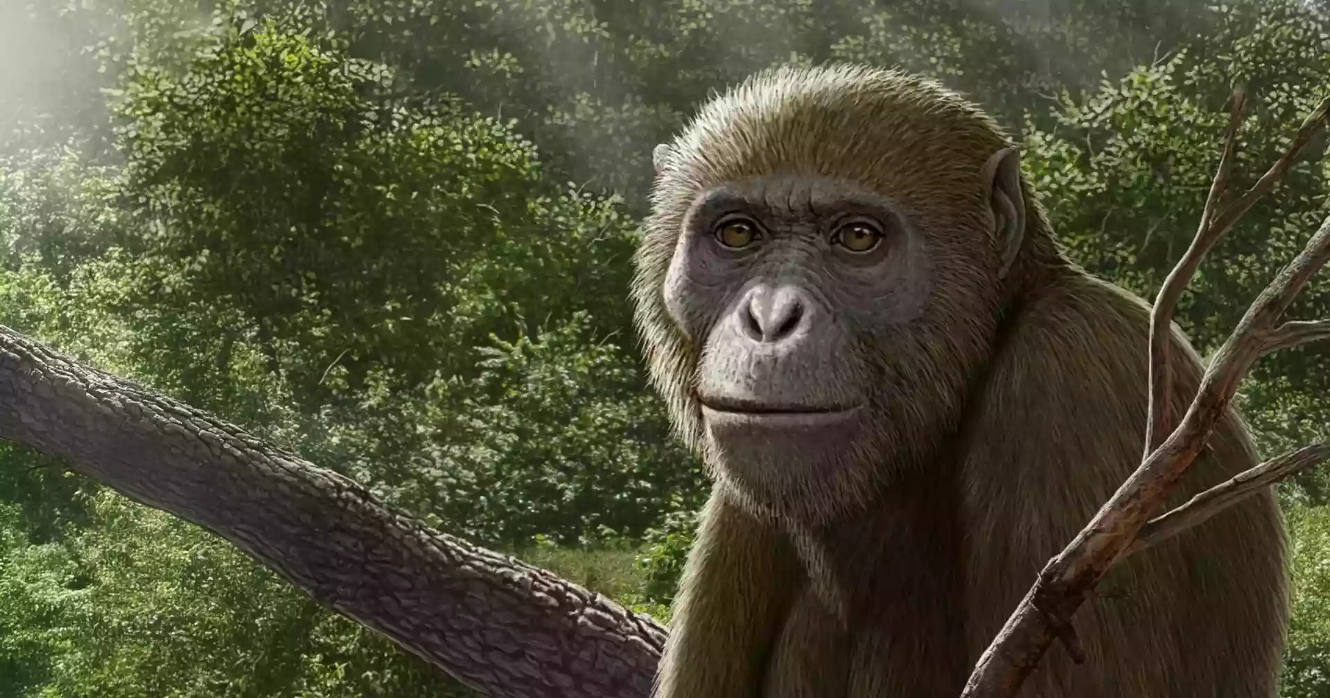 Fossil discovery in Egypt challenges understanding of human ancestors