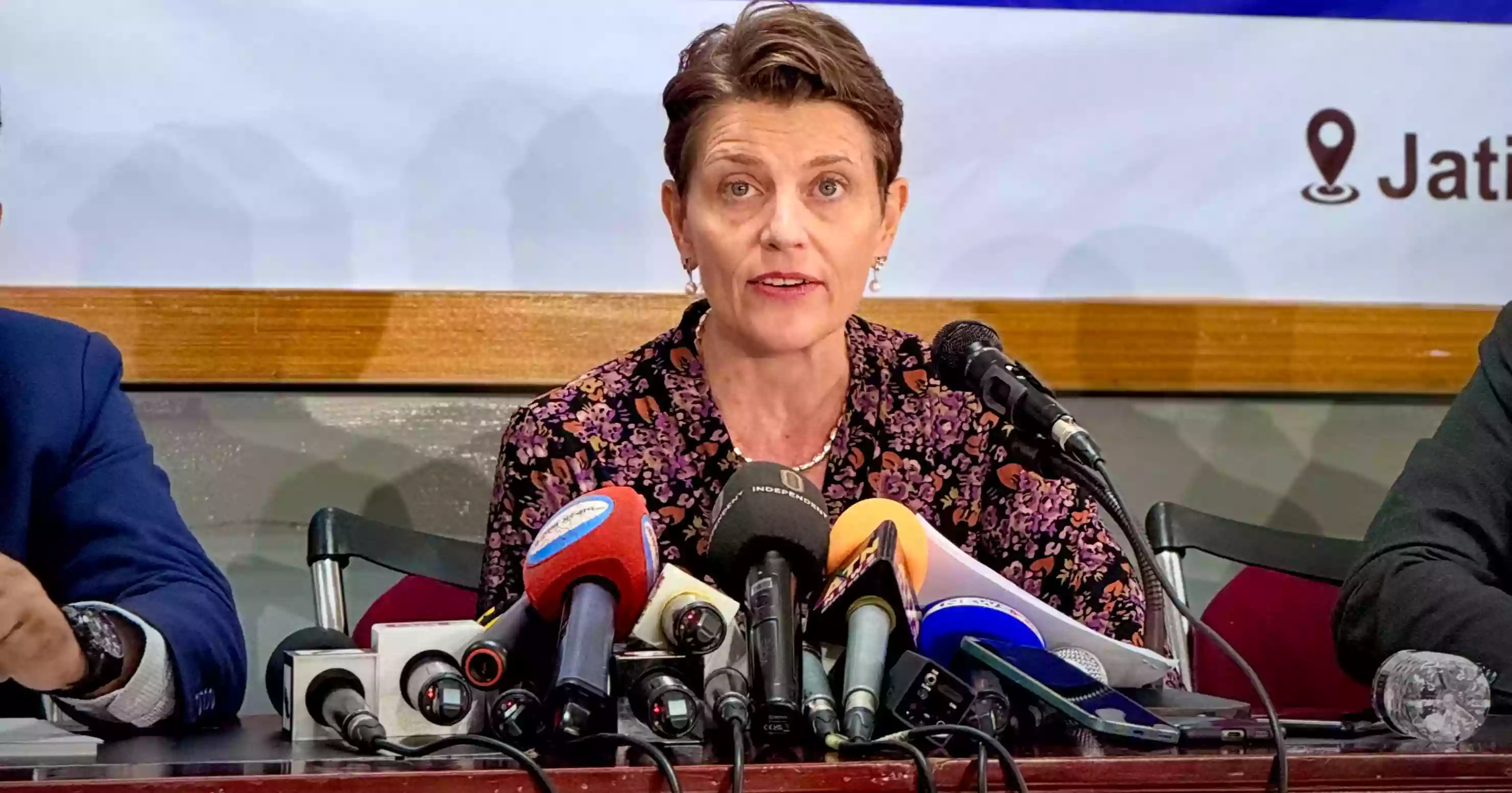 Supporting preparations for credible elections among priorities in 2025: Gwyn Lewis