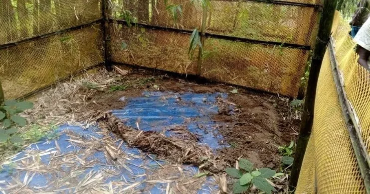 5 skeletons stolen from Thakurgaon graveyard