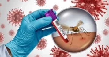 3 more die of dengue, 319 hospitalised in 24 hrs: DGHS