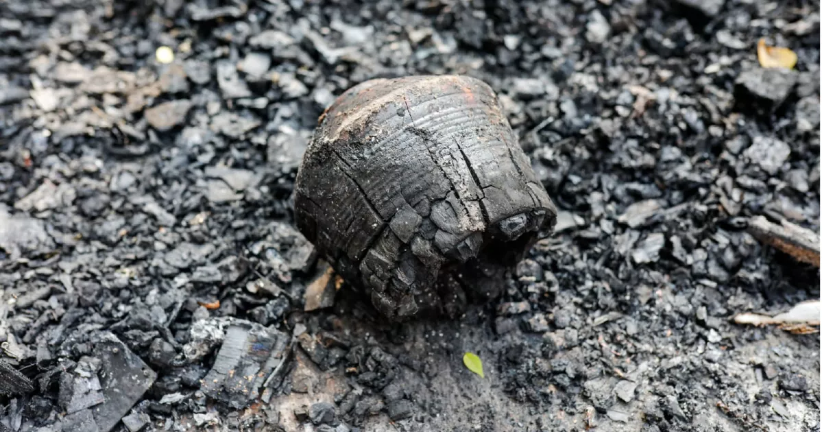 Chhayanaut building set on fire