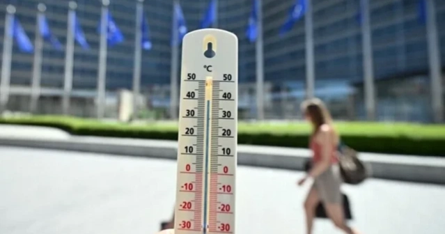 Belgium records nearly 3,000 excess deaths during summer heatwaves 