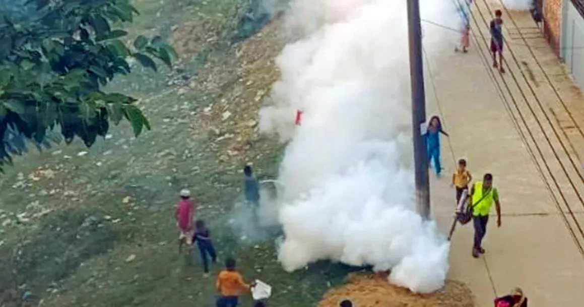 Sylhet residents endure relentless mosquito invasion amid dengue surge