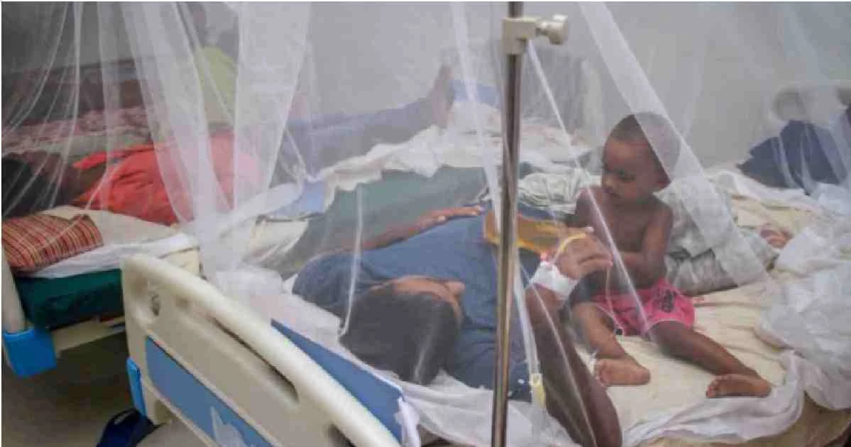 Dengue claims 4 more lives; 845hospitalised in 24hrs