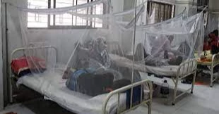 5 more dengue cases reported in 24hrs