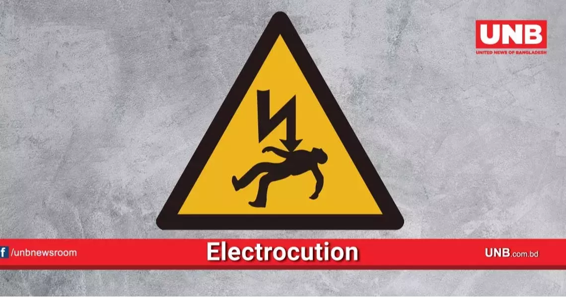 Security guard electrocuted while picking mangoes in Dhaka