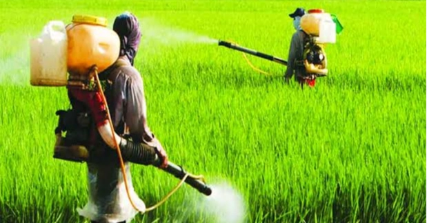 Parliamentary body concerned over indiscriminate use of pesticides on crops, soil