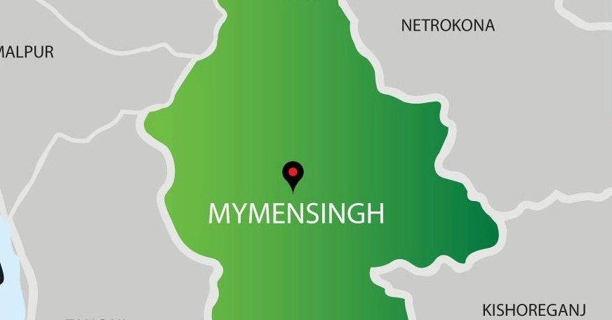 Imam, daughter die from insect stings in Mymensingh