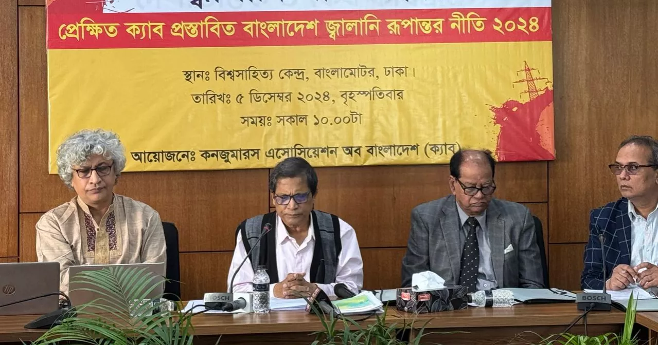 Prosecute "energy criminals" for looting state wealth through irrational deals: CAB