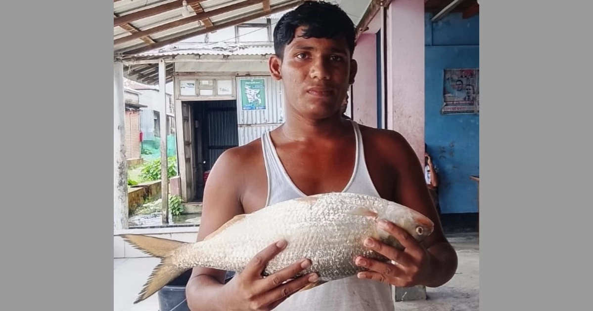 'King hilsa' from Meghna fetches Tk 8,500 at auction in Bhola