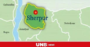 Two farmers electrocuted in Sherpur