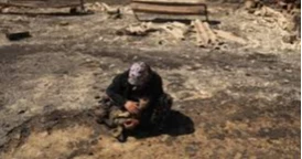 Study: Climate change intensified deadly wildfires in Turkey, Greece and Cyprus