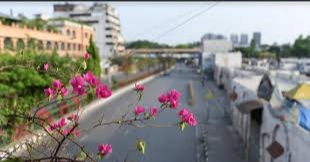 Dhaka’s air quality ‘moderate’ this morning