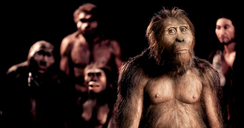 Scientists reconstruct voices of ancient humans from fossils