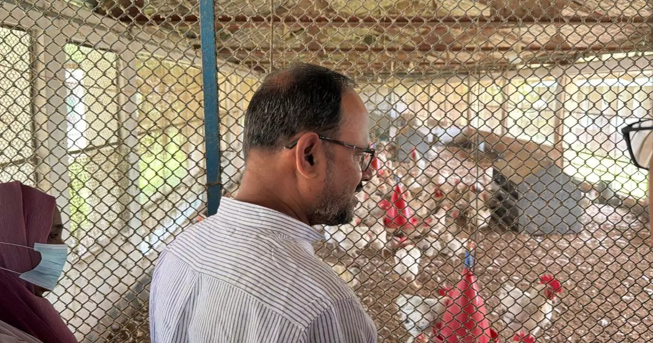 Day-old chicks: Central Poultry Farm told to boost production, fix shortcomings