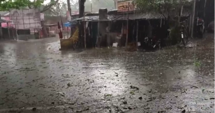Sudden nor’wester, hailstorm in Natore threaten crops