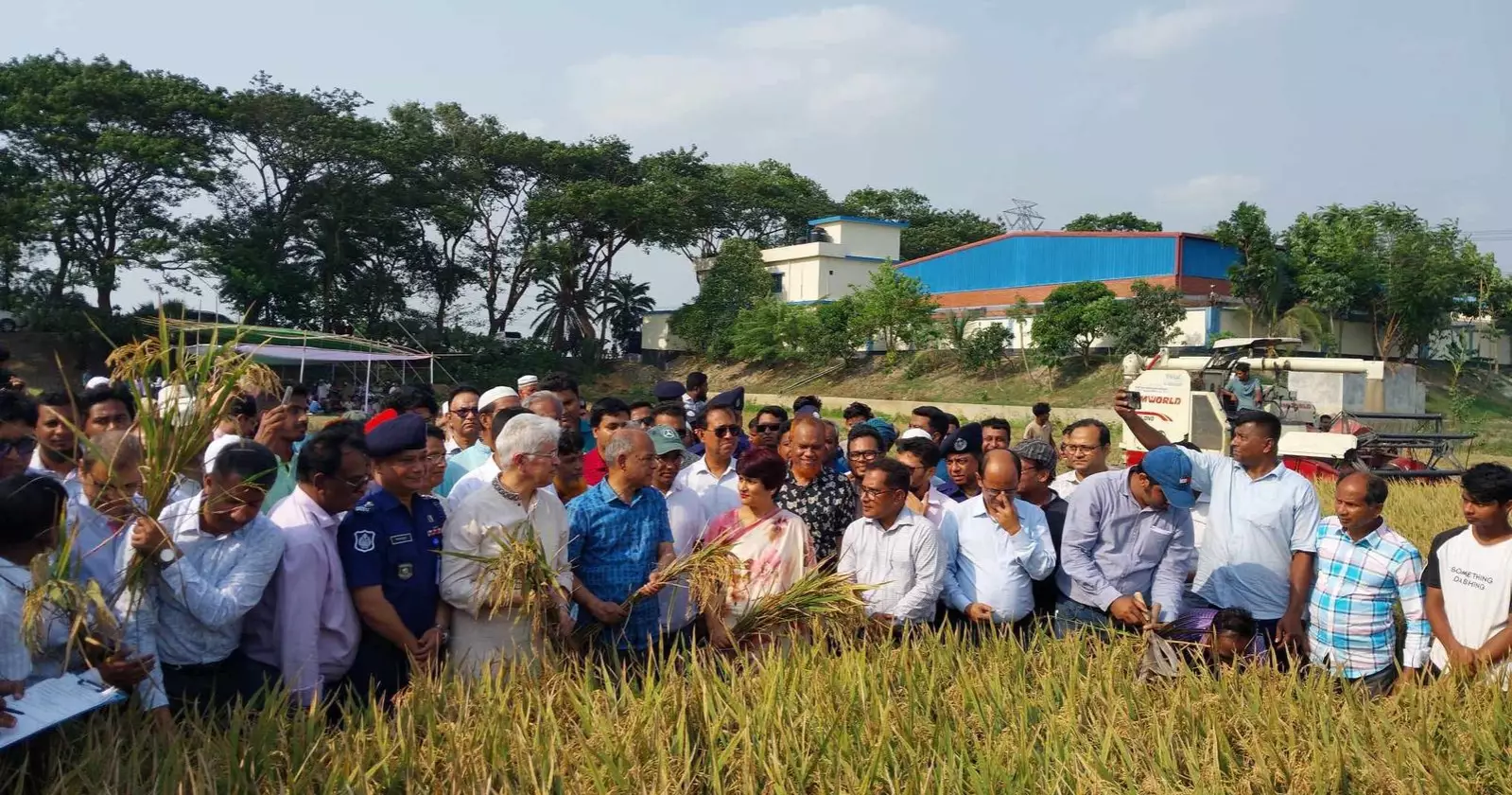 Boro paddy harvest satisfactory: Agriculture Adviser