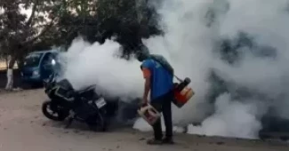 Dengue cases cross 30,000 mark this year