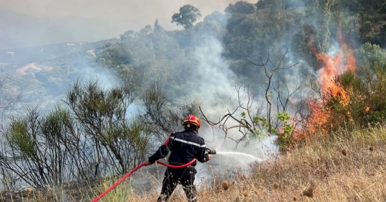 12 killed in Algeria wildfires