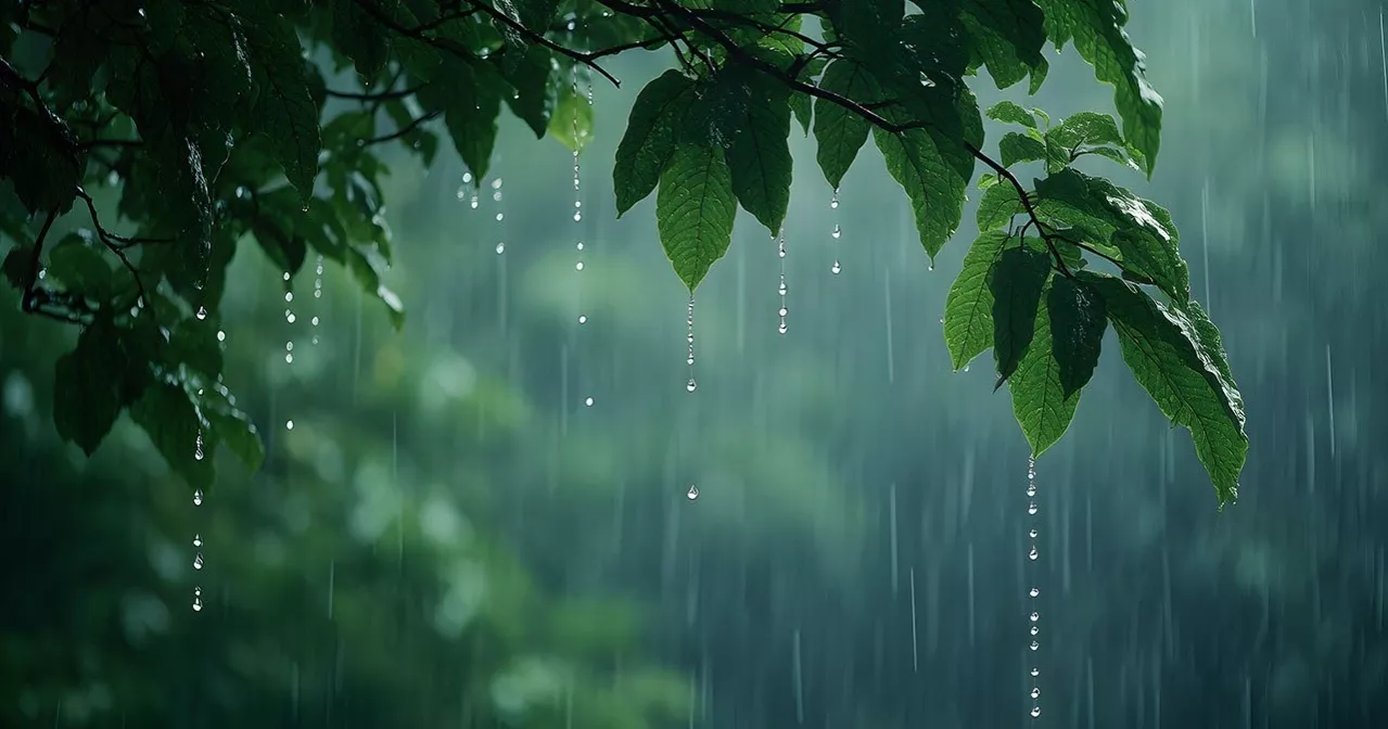 Low pressure area formed over Bay; heavy rains likely in 3 divisions