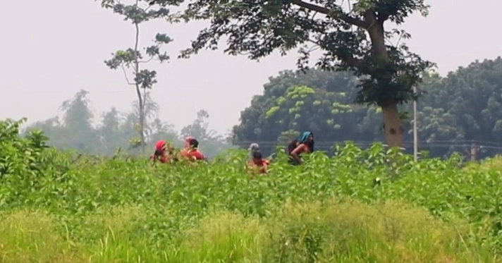 BSF takes back 12 people from Kushtia border after 3 days