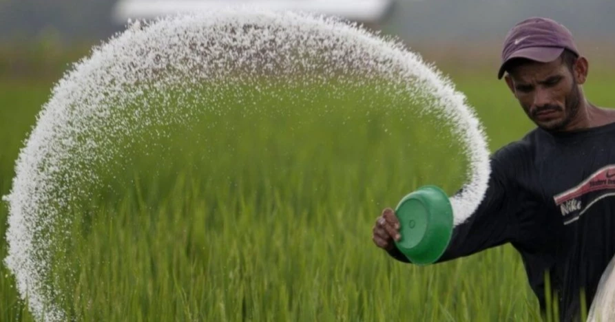 Govt to buy 145,000 MT fertiliser from four countries