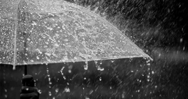 Heavy to very heavy rainfall likely in parts of Bangladesh: BMD