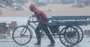 Cyclonic storm ‘Montha’ intensifies into severe cyclonic storm; unlikely to hit Bangladesh