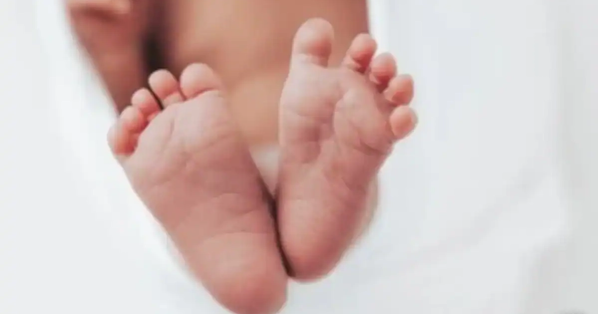 Newborn’s body found in box at Jurain graveyard