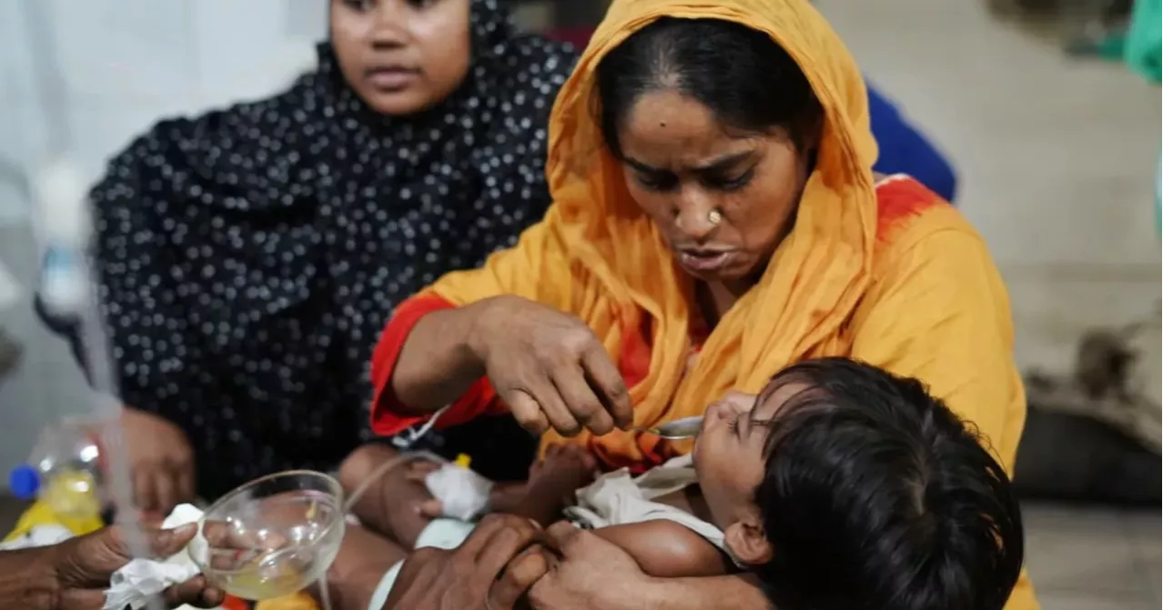 Dengue death toll reaches 352 as 4 more die