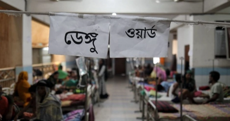 46 dengue patients hospitalised in 24hrs