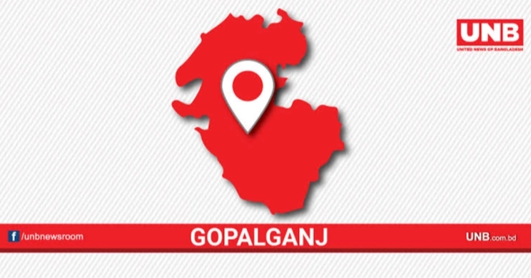 20 injured as bus plunges into ditch in Gopalganj