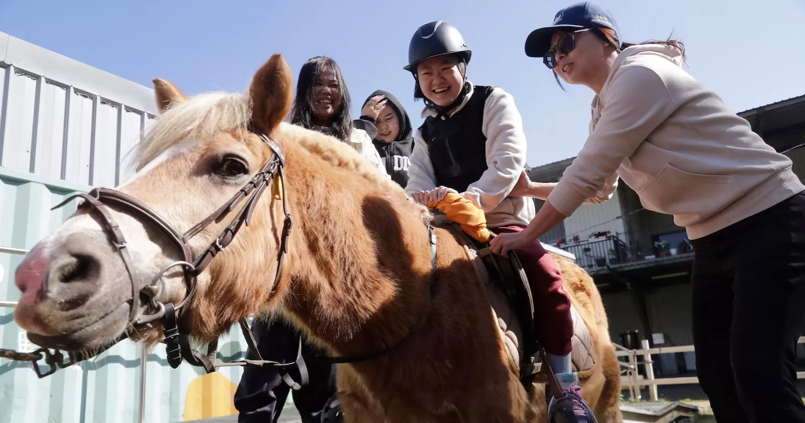 Horse therapy brings joy and support to children with disabilities in Taiwan
