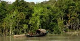7 fishermen kidnapped in Sundarbans