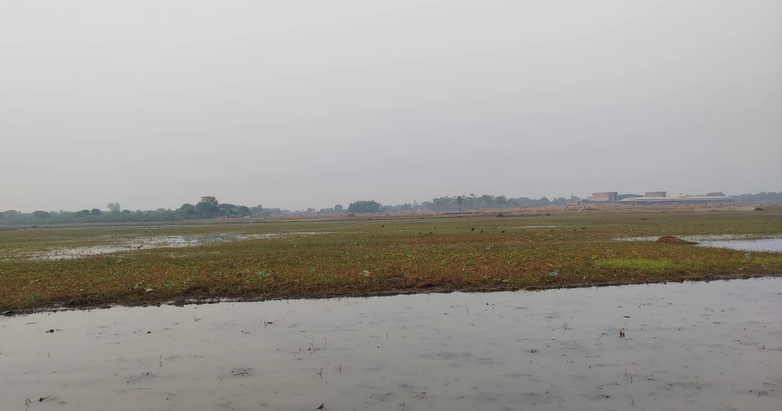 2 wetlands in Rajshahi declared ‘Wetland-Dependent Wildlife Sanctuaries’