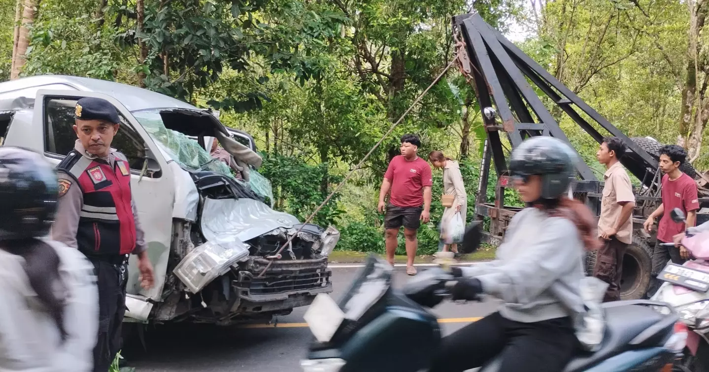 Minibus carrying Chinese tourists crashes in Bali, five dead
