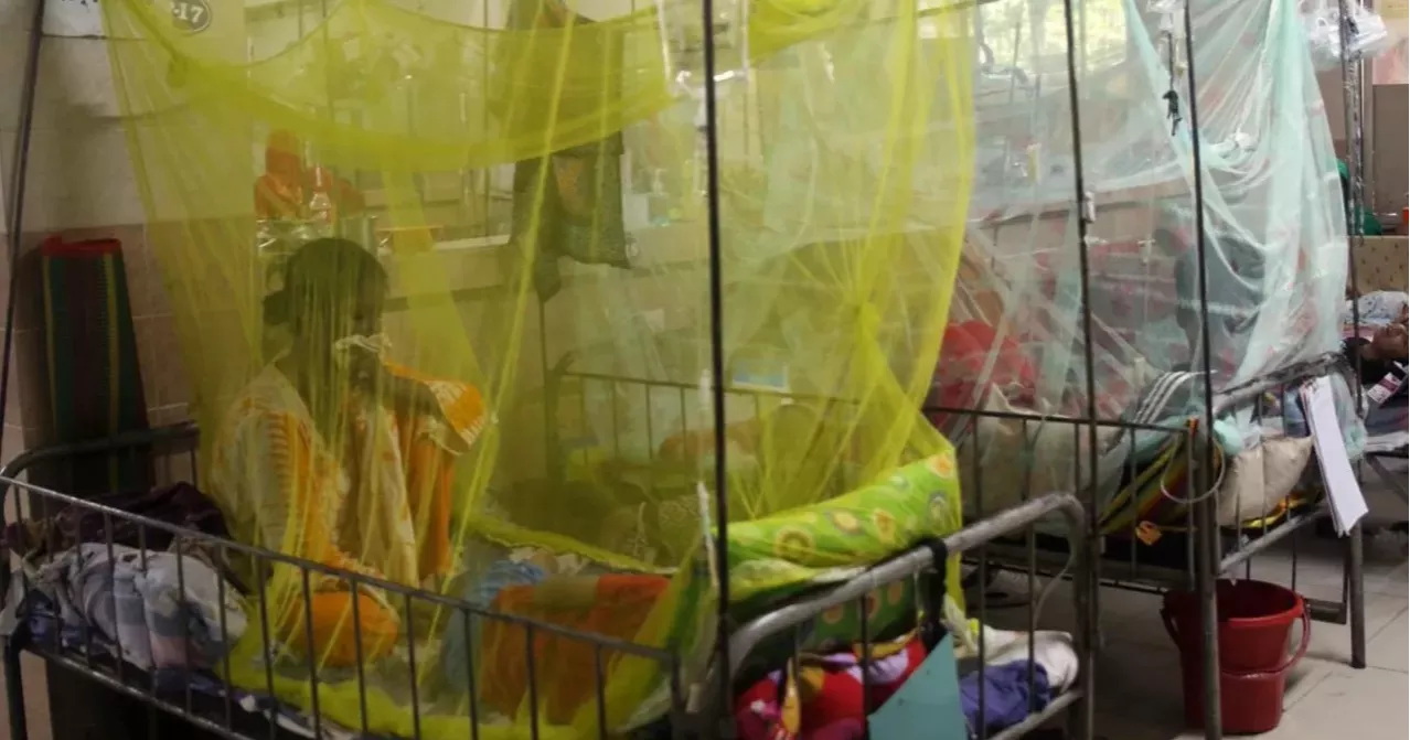 Dengue: Death toll hits 77 this year as 1 more dies