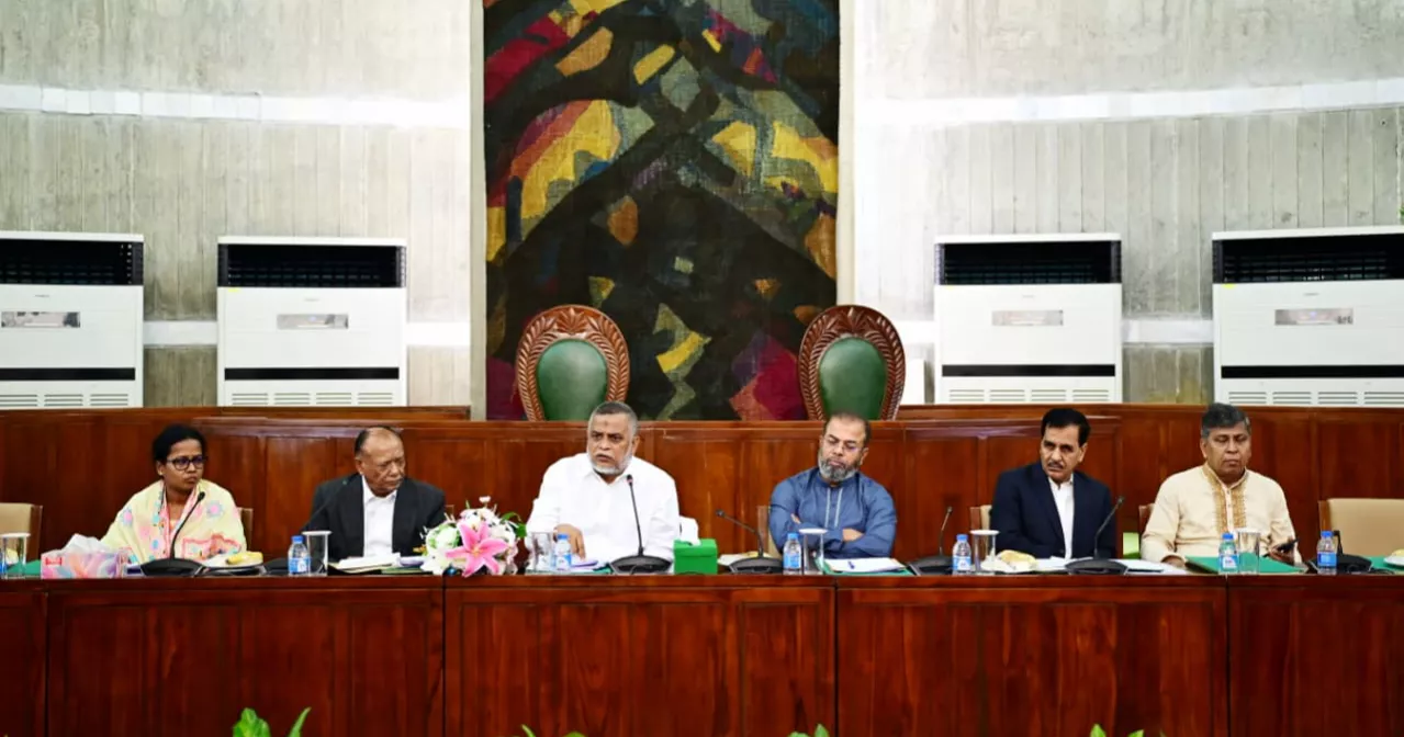 JS Standing Committee to recommend stopping banks from financing illegal brick kilns