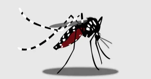 380 hospitalised with dengue in 24 hours