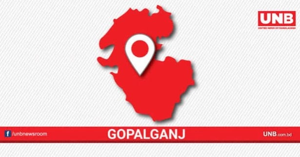 Father, son electrocuted while irrigating farmland in Gopalganj