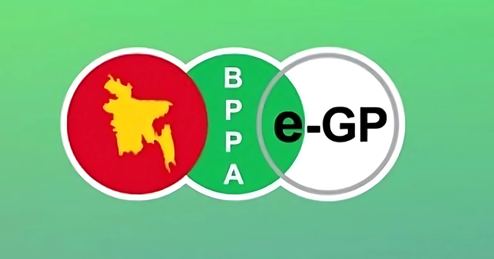 BPPA urges strengthening institutional capacity to boost transparency in public procurement