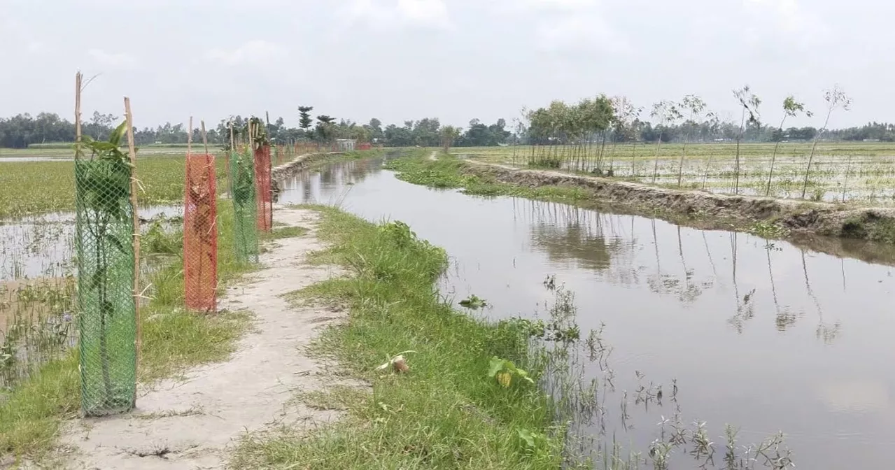 Heavy rain stalls canal project in Rangpur, Tk 99.25 lakh returned to treasury 