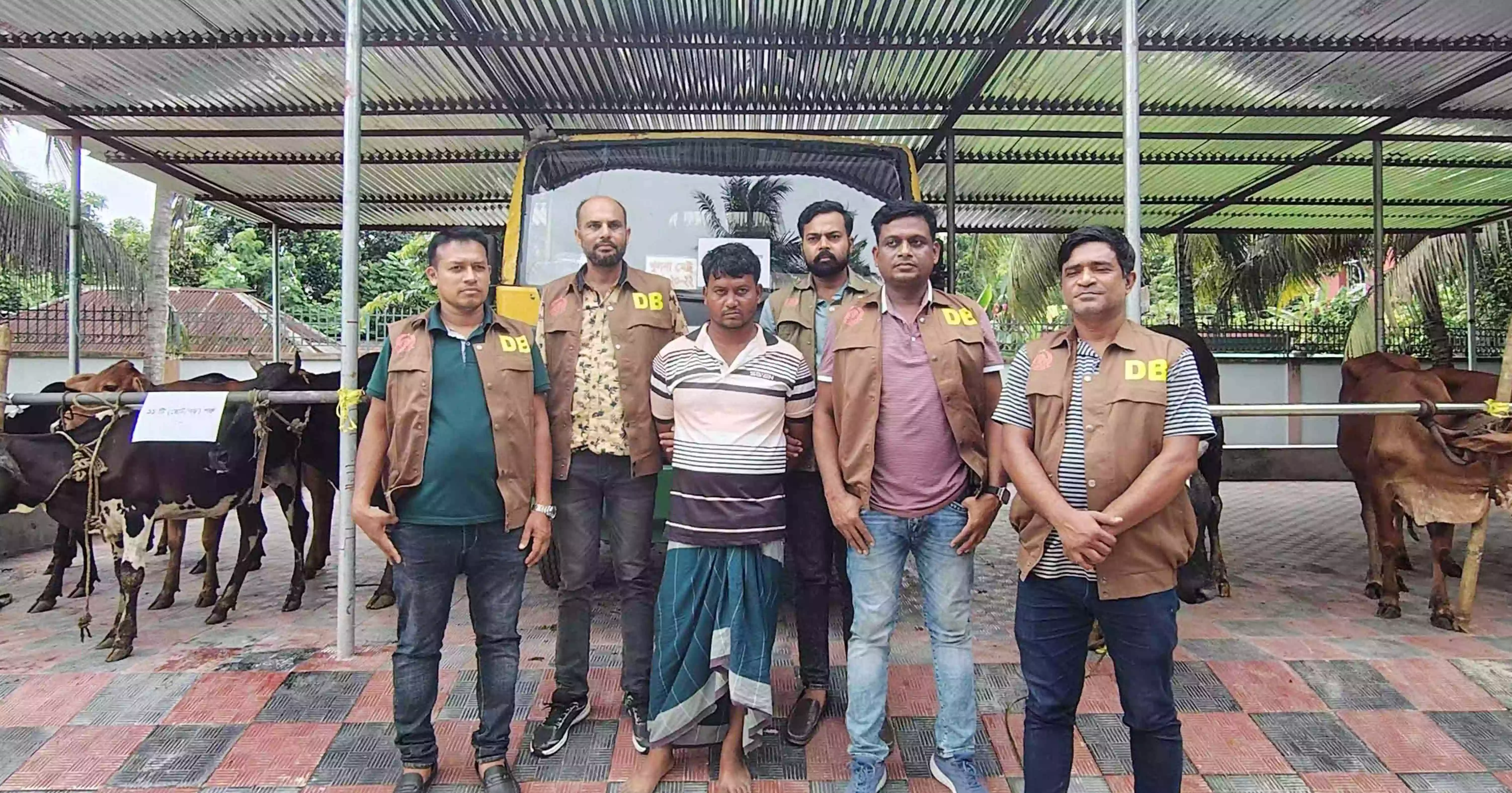 3 members of inter-district cattle lifter gang held in Bagerhat, 11 stolen cattle recovered
