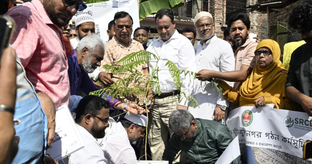 DSCC launches tree plantation programme at Kamrangirchar