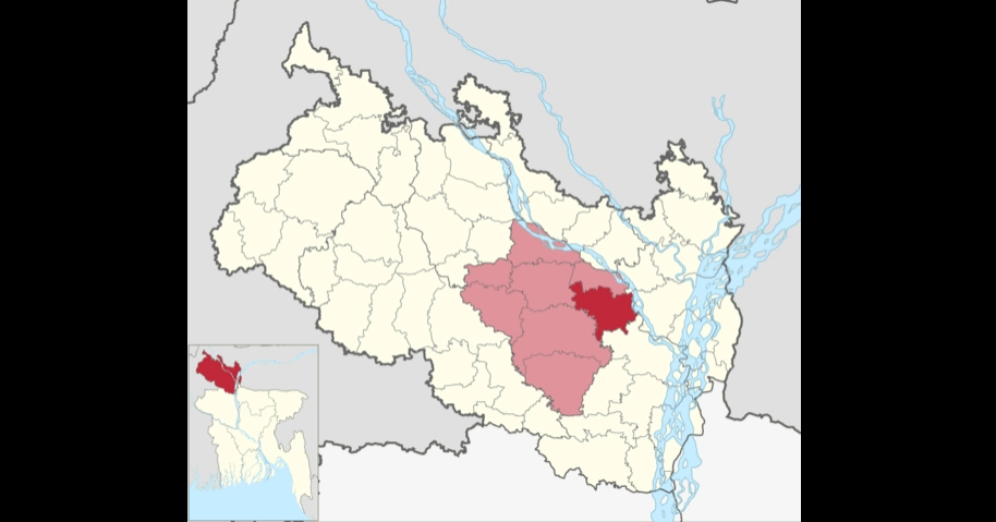 Unknown virus kills over 200 cows and goats in Rangpur