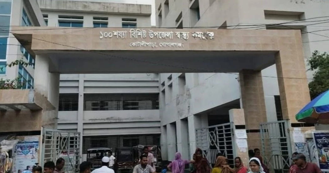 Man dies from hornet attack in Gopalganj